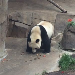 Meet your Posher, James